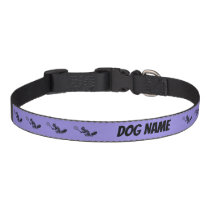Tennis Squirrel Pattern with Text on Purple Pet Collar