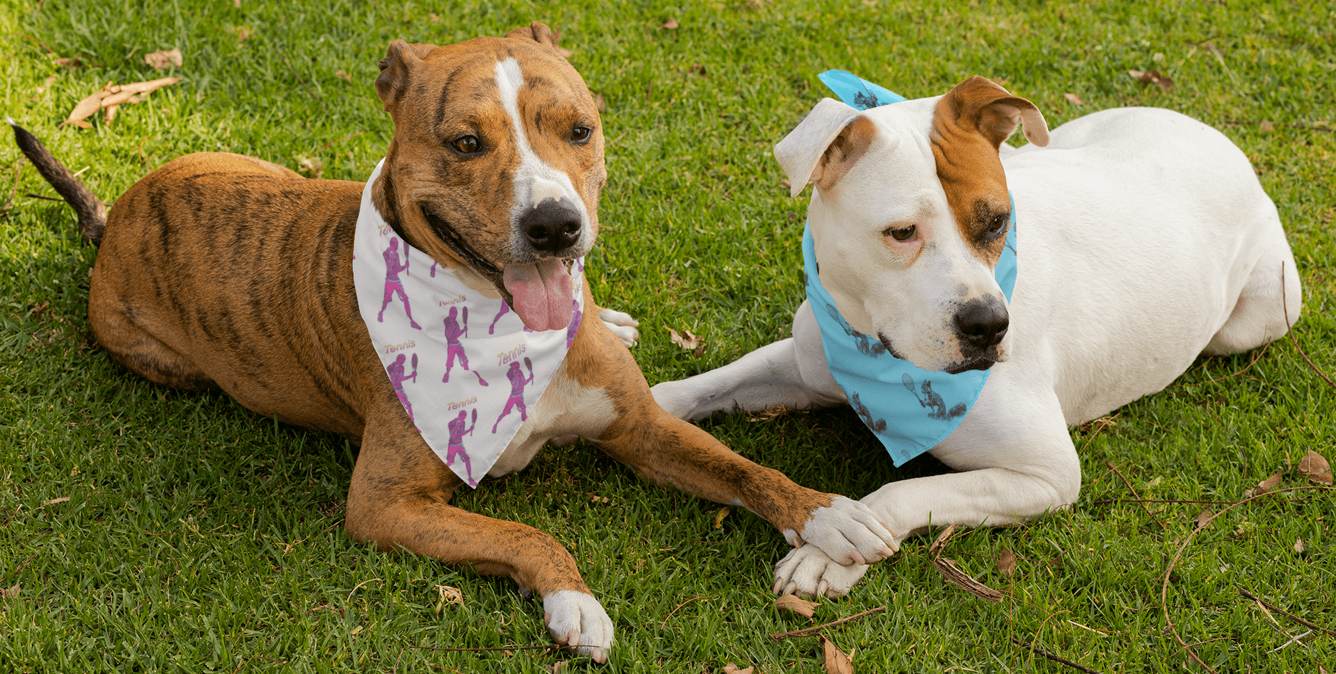 Tennis Gifts For Dogs 🎾 Unique gift ideas for every tennis fan.